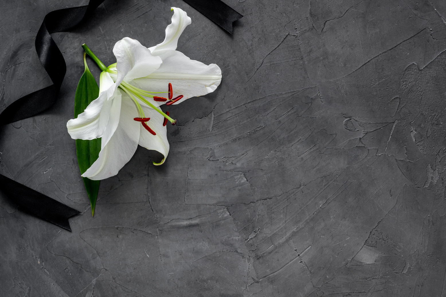 Lily funeral flower on dark stone. Condolence card with copy space